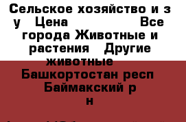 Сельское хозяйство и з/у › Цена ­ 2 500 000 - Все города Животные и растения » Другие животные   . Башкортостан респ.,Баймакский р-н